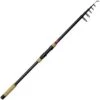 CANNE CARPE TELESCOPIQUE DAM SPEZI STICK II TELE CARP