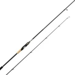 CANNE SPINNING SHIMANO ROD SUSTAIN SPINNING FAST