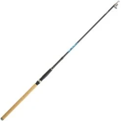 CANNE TELESCOPIQUE DAIWA MEGAFORCE