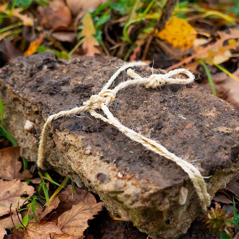 CORDE ZECK STONE LINE 4 CORDE ZECK STONE LINE – Image 2