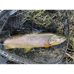 CUILLER TOURNANTE STUCKI FISHING BRAUEN PEARL 2 - 6G -Magasin D'articles De Pêche cuiller tournante stucki fishing brauen pearl 2 6g z 2739 273961 2