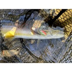 CUILLER TOURNANTE STUCKI FISHING BRAUEN PEARL 2 - 6G -Magasin D'articles De Pêche cuiller tournante stucki fishing brauen pearl 2 6g z 2739 273961 3