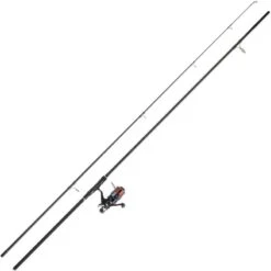 ENSEMBLE CARPE DAIWA SET CARPE 11