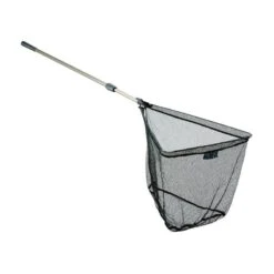 EPUISETTE AUTAIN ATTACK