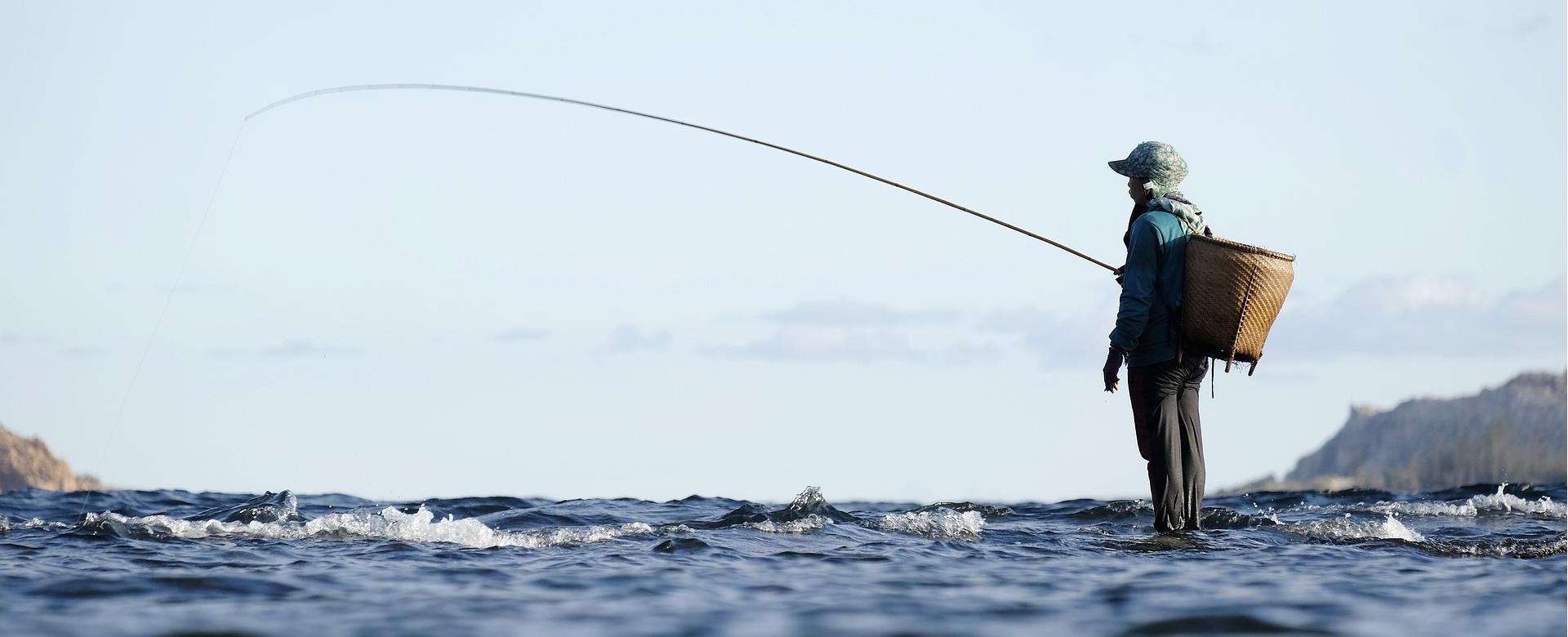 Magasin D'articles De Pêche -Magasin D'articles De Pêche fishing 5552310 1920