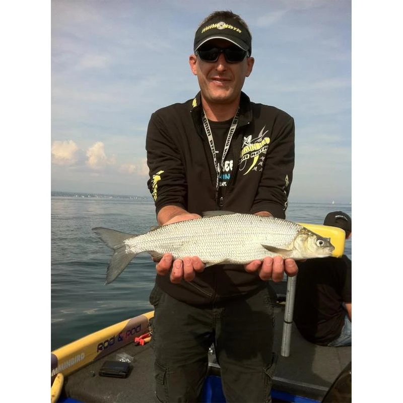 GUIDE LAVARET LAC DU BOURGET AUVERGNE RHONE ALPES STEPHANE POINCOT 3 GUIDE LAVARET LAC DU BOURGET AUVERGNE RHONE ALPES STEPHANE POINCOT