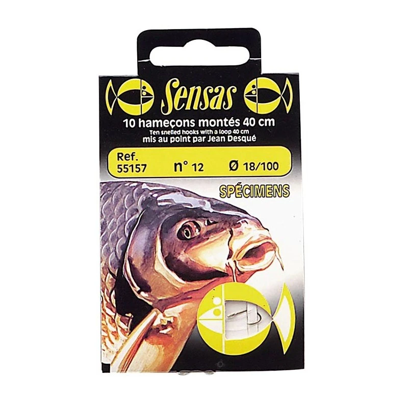 HAMECON MONTE COUP SENSAS SPECIMEN 3 HAMECON MONTE COUP SENSAS SPECIMEN