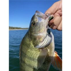 LEURRE COULANT STUCKI FISHING FANATICS METAL SPIN- SCORER - 7G -Magasin D'articles De Pêche leurre coulant stucki fishing fanatics metal spin scorer 7g z 2739 273974 3