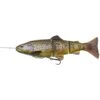 LEURRE SOUPLE ARME SAVAGE GEAR 4D LINE THRU TROUT - 25CM 1 LEURRE SOUPLE ARME SAVAGE GEAR 4D LINE THRU TROUT - 25CM -Magasin D'articles De Pêche leurre souple arme savage gear 4d line thru trout 25cm z 1648 164853