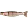 LEURRE SOUPLE FOX RAGE PRO SHAD JOINTED - 14CM 2 LEURRE SOUPLE FOX RAGE PRO SHAD JOINTED - 14CM -Magasin D'articles De Pêche leurre souple fox rage pro shad jointed 14cm z 2106 210639