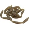 LEURRE SOUPLE PRIME LINKED WORMS - 2.5CM - PAR 32 -Magasin D'articles De Pêche leurre souple prime linked worms 25cm par 32 z 1915 191527