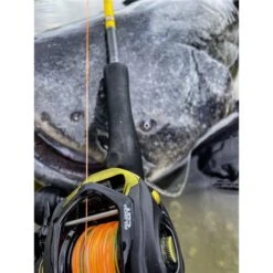 MOULINET CASTING BLACK CAT CAST 301 LH -Magasin D'articles De Pêche moulinet casting black cat cast 301 lh z 2625 262555 7