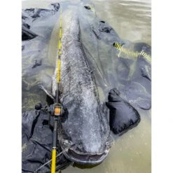 MOULINET CASTING BLACK CAT CAST 301 LH -Magasin D'articles De Pêche moulinet casting black cat cast 301 lh z 2625 262555 8