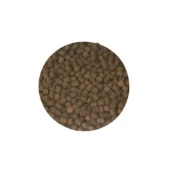 PELLET RAMEAU GRANULES TRUITOR - 800G