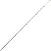 SCION SUPPLÉMENTAIRE GARBOLINO PLEINS CARBONE/SOLID TIP CARBON 2 SCION SUPPLÉMENTAIRE GARBOLINO PLEINS CARBONE/SOLID TIP CARBON -Magasin D'articles De Pêche scion supplementaire garbolino pleins carbone solid tip carbon z 2708 270814