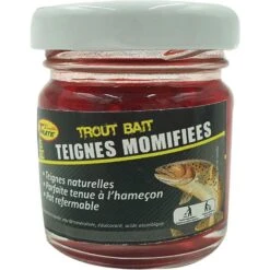 TEIGNES MOMIFIÉES TRUITE INNOVATION